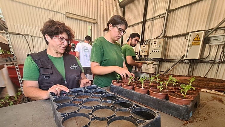 Torremolinos garden centre, a place where those with disabilities can blossom