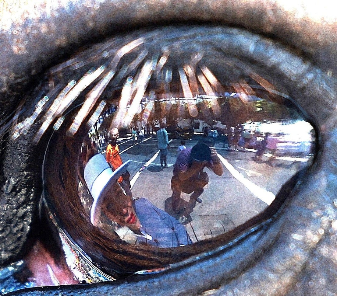 Picture special: Malaga's summer fair 2023, in full swing