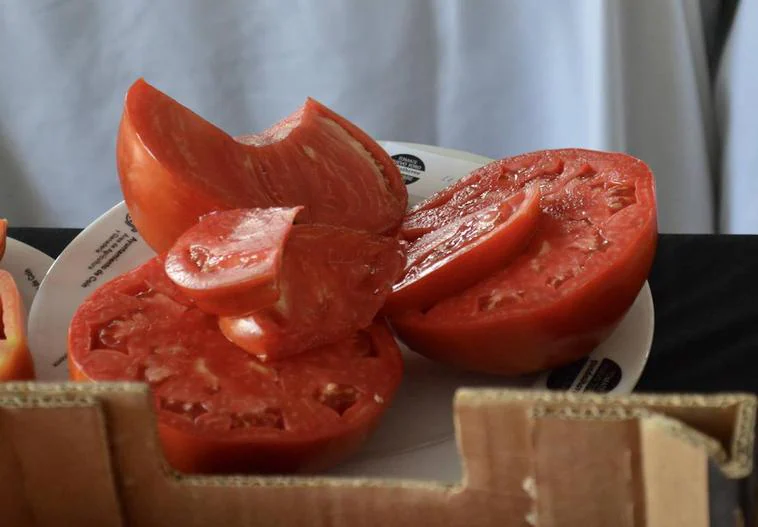 The Huevo de Toro (bull’s ball) tomato.