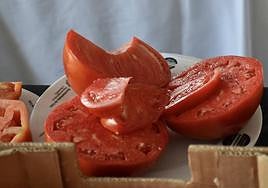The Huevo de Toro (bull’s ball) tomato.
