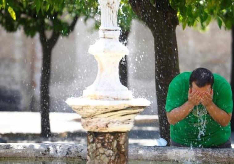 Amber alert activated for temperatures of around 40C in Malaga and along the Costa del Sol