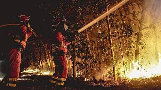 Manhunt under way for arsonist who started devastating forest fires in Tenerife