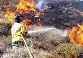 A firefighter from Plan Infoca fights the flames in a forest fire.