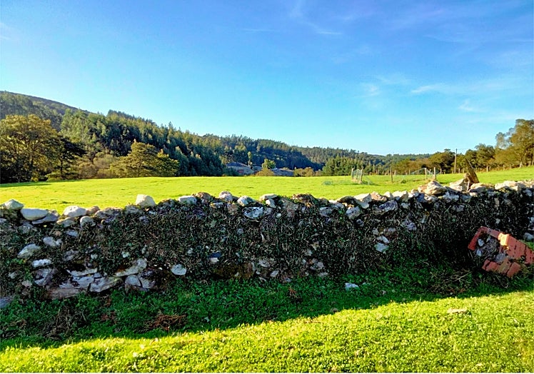 Imagen principal - Shades of green on the coast.