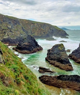 Imagen secundaria 2 - Shades of green on the coast.