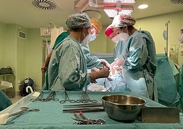 Live transplants have increased in 2023.