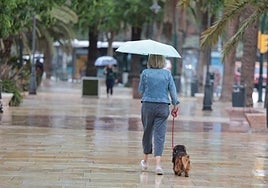 A woman takes shelter from the rain under an umbrella.