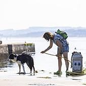 Spain's new animal welfare law: how much will liability insurance for dogs cost and what are the fines for not having it?