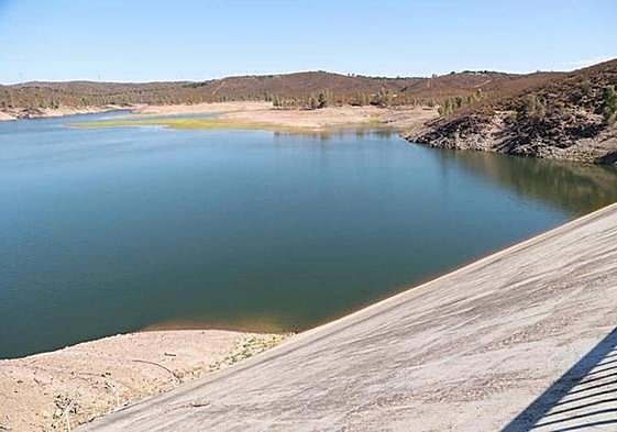 Aznalcóllar reservoir, in the province of Seville.