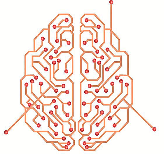 The mysteries of the brain