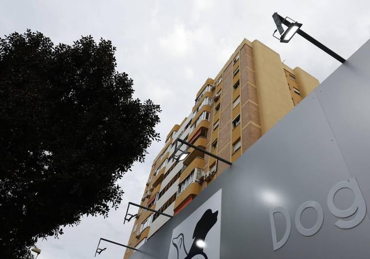 Man could face two-year prison sentence for allegedly killing his mother's dog by throwing it from eleventh floor in Malaga
