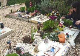What will it cost to cremate or bury a pet in Malaga? New animal cemetery releases details of its planned services
