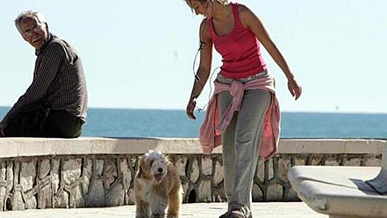 Requirement to take out pet dog insurance as part of Spain's new animal welfare law is delayed