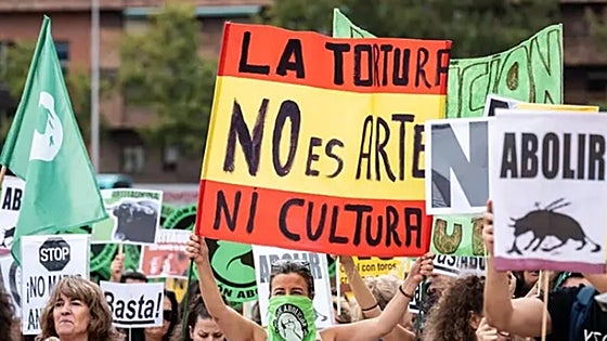 Costa del Sol activists join anti-bullfighting protest in Madrid, calling for an end to Spain's 'national shame'