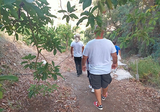 On the way to the coffee plantation.