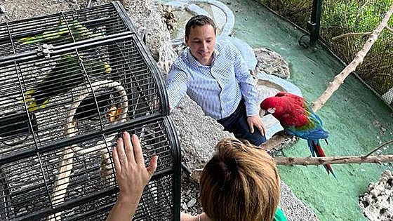 New arrivals at Costa Tropical bird park