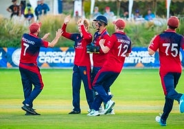 Jersey celebrate a wicket during one of their Group B wins