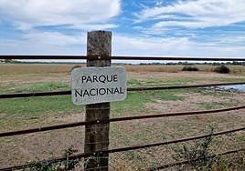 Doñana National Park.