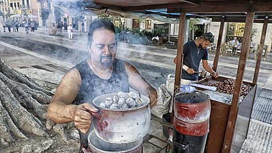 Chestnut stalls forced to put prices up as drought drastically reduces harvest