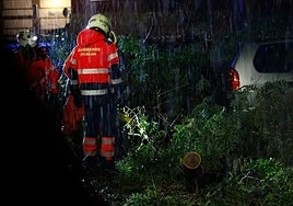 A firefighter deals with a fallen tree in Antequera.