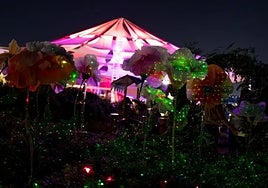 Fairies and magical trees light up Plaza Mayor retail park in Malaga