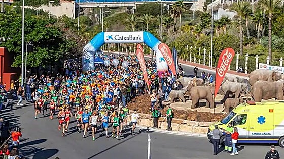 Holiday World Benalmádena hoping to set new record for its annual charity fun run