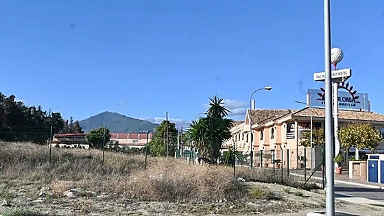 German supermarket chain Lidl announces plans to open in San Pedro Alcántara