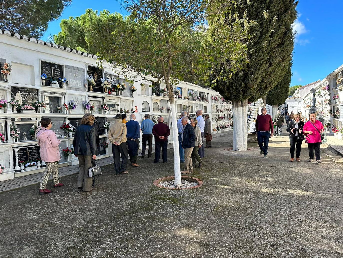 In pictures... people in Malaga pay their respects on All Saints' Day in the province's cemeteries