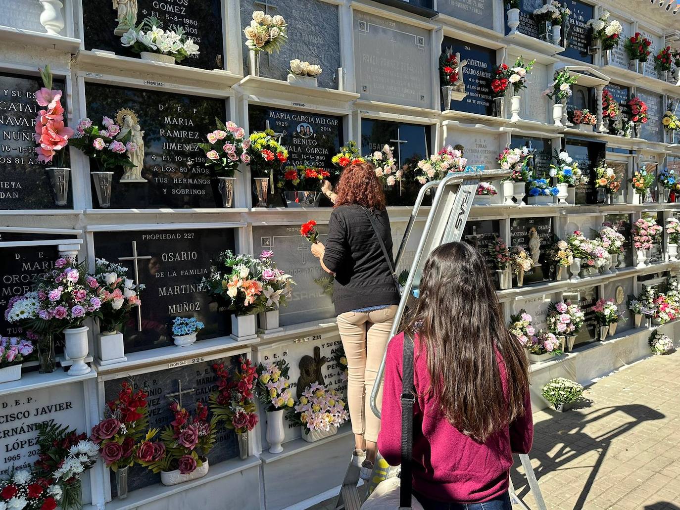 In pictures... people in Malaga pay their respects on All Saints' Day in the province's cemeteries