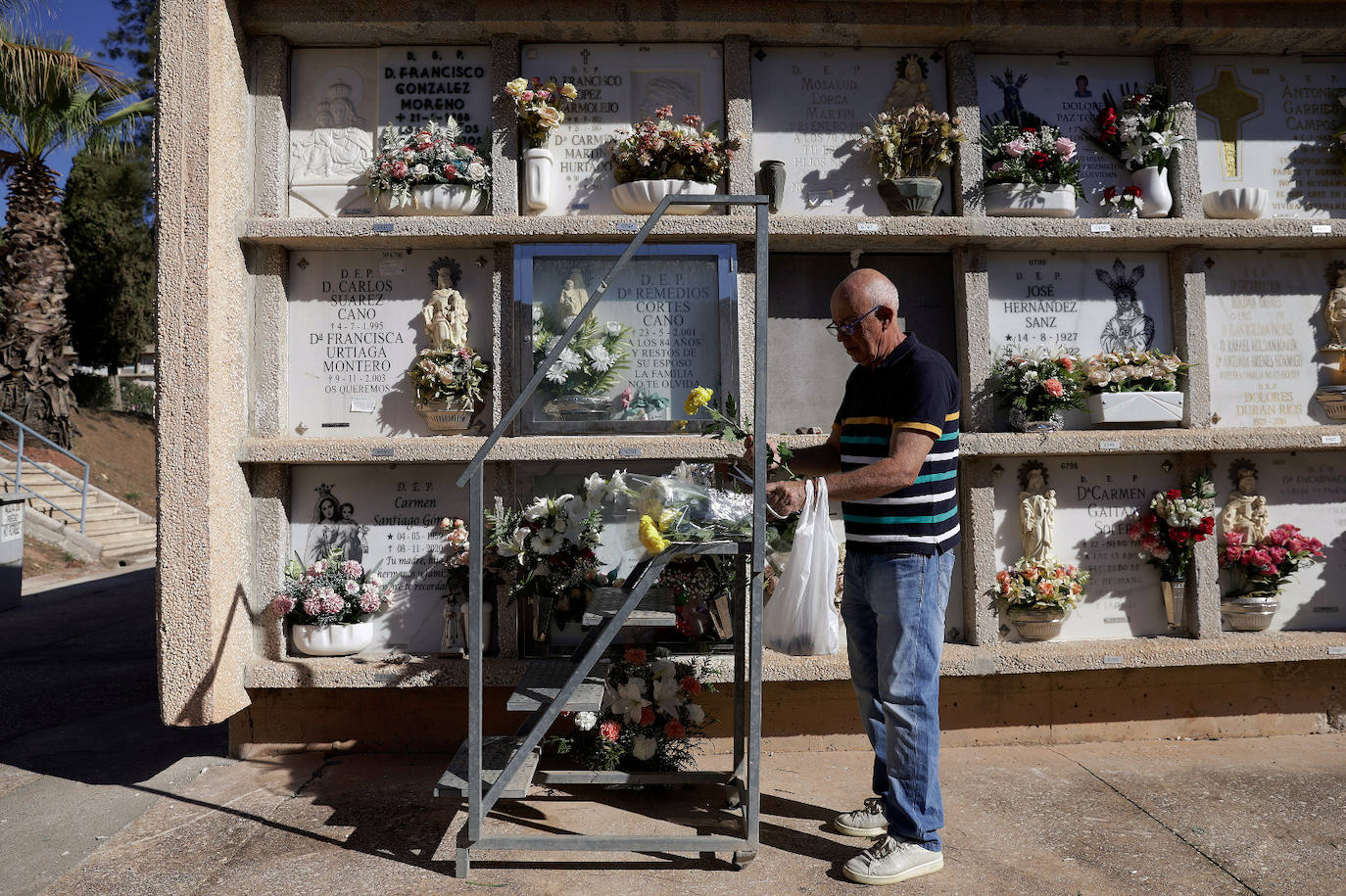 In pictures... people in Malaga pay their respects on All Saints' Day in the province's cemeteries