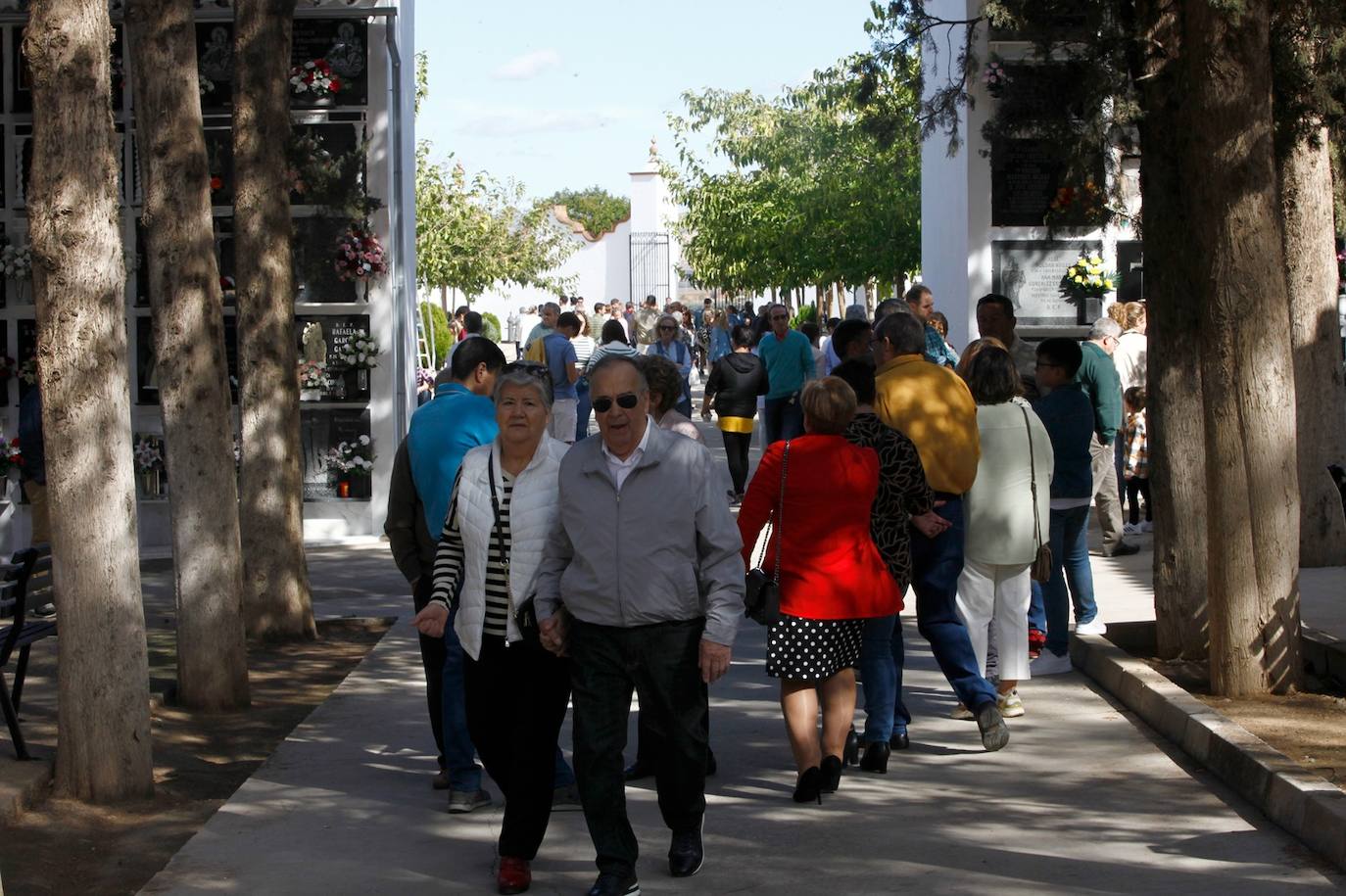 In pictures... people in Malaga pay their respects on All Saints' Day in the province's cemeteries