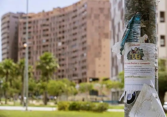 Advertisement for a rented flat in the university district of Teatinos.