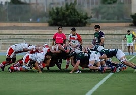 Malaga, wearing green and purple, during a recent game.