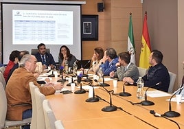 The meeting held this Wednesday at the Acosol headquarters.