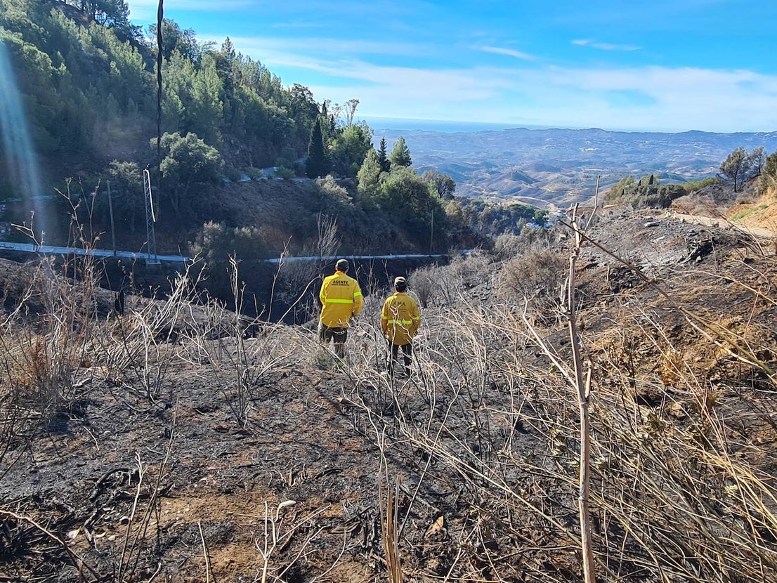 The horror of the Mijas wildfire, in pictures