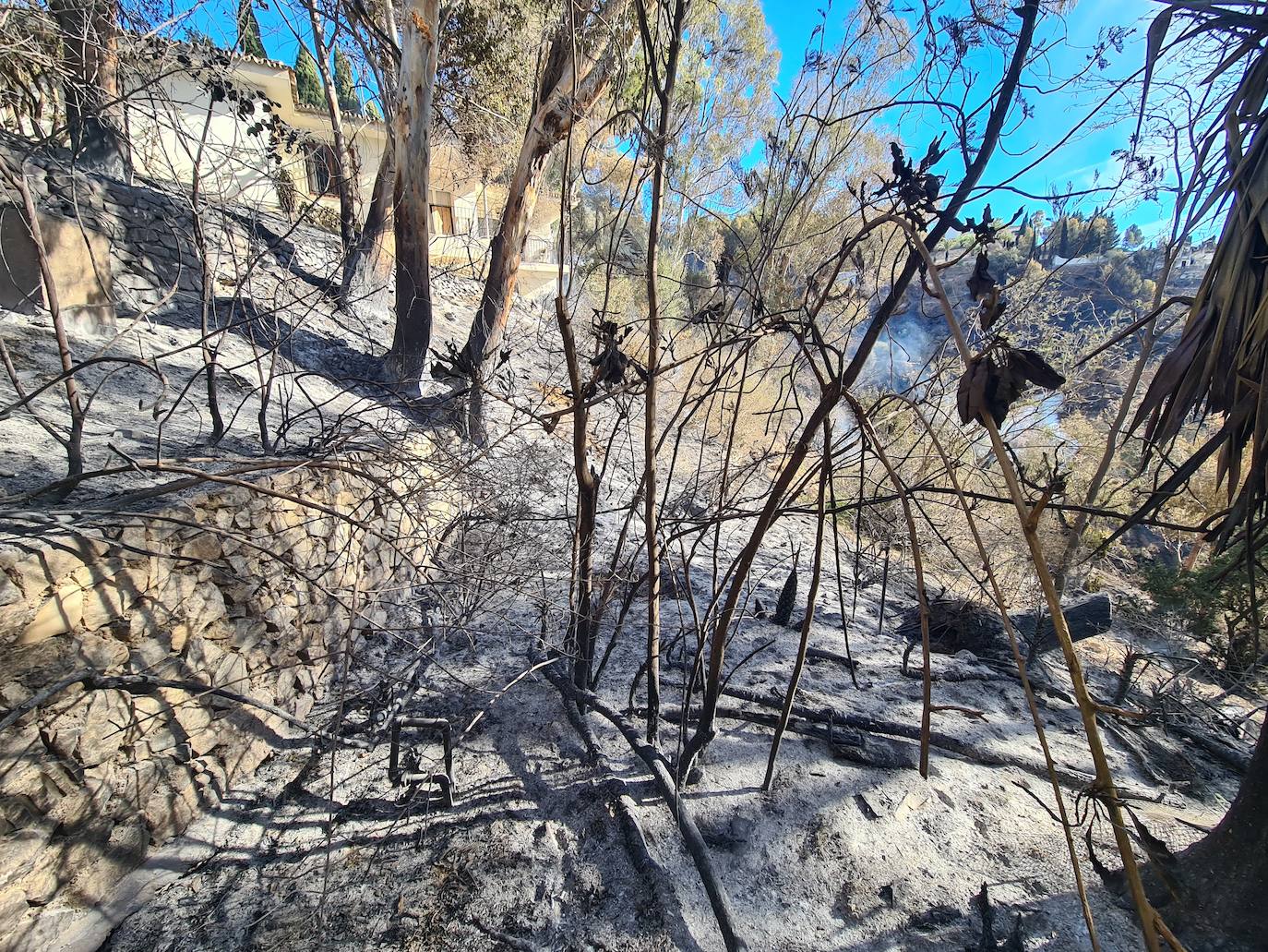 The horror of the Mijas wildfire, in pictures