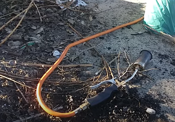 Three men reported in Malaga for burning live hedgehogs with a blowtorch, which they 'planned to eat'