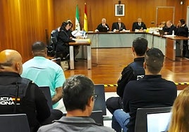 The trial continues in the Cartama acid attack