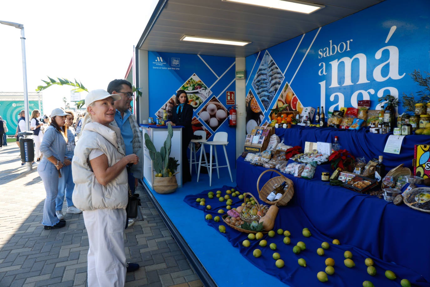 The Davis Cup in Malaga
