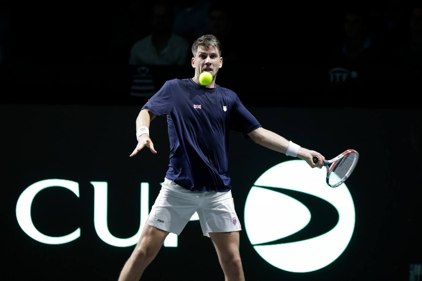 The Davis Cup in Malaga