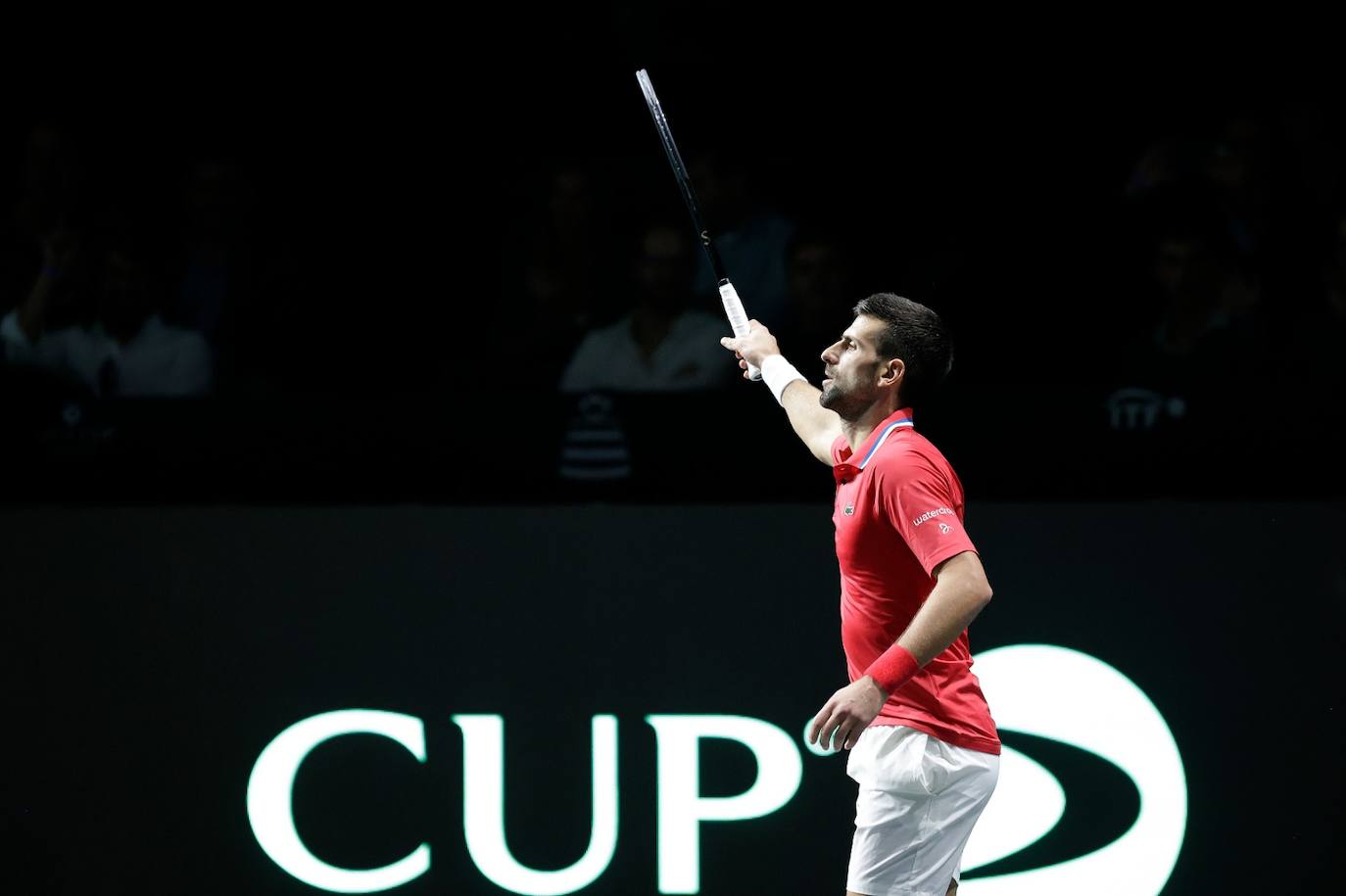 The Davis Cup in Malaga