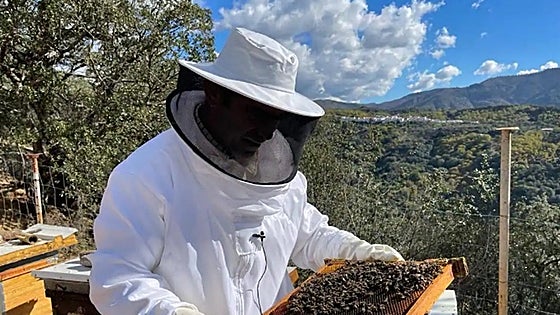 The best honey in the whole of Andalucía is from the Serranía de Ronda