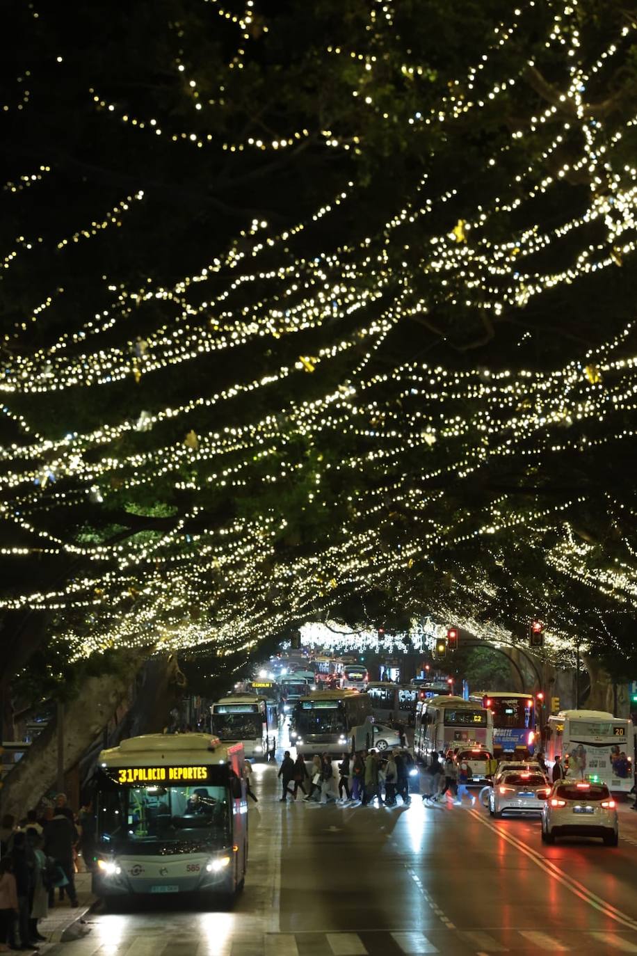 Malaga switches on its sparkling 2023 festive lights, in pictures