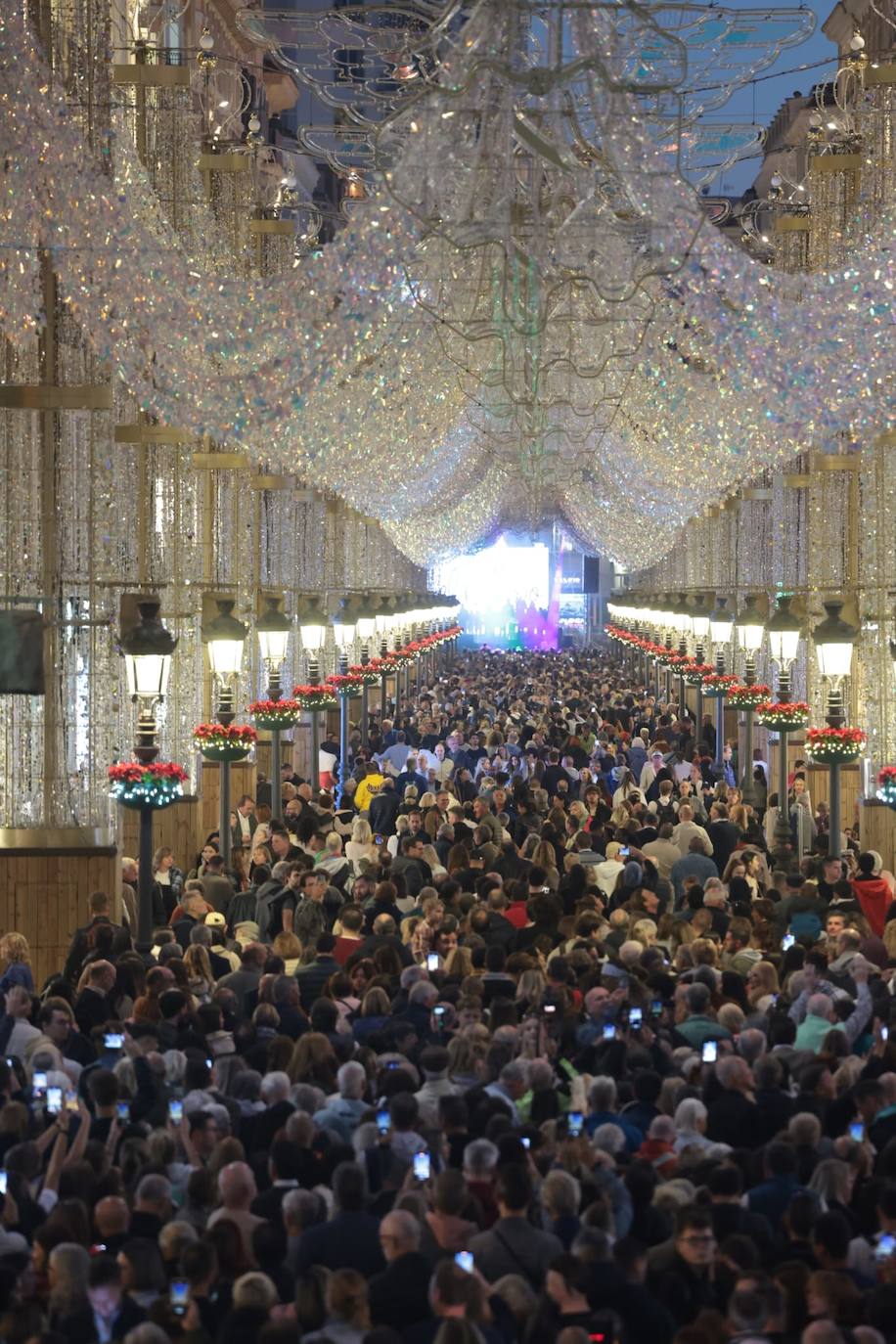 Malaga switches on its sparkling 2023 festive lights, in pictures