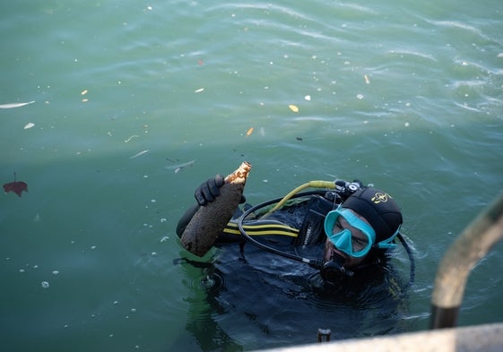 2,000 kilos of rubbish removed from the seabed at Puerto Marina