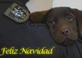 Christmas greeting from Keta: the labrador puppy rescued by a Malaga police officer