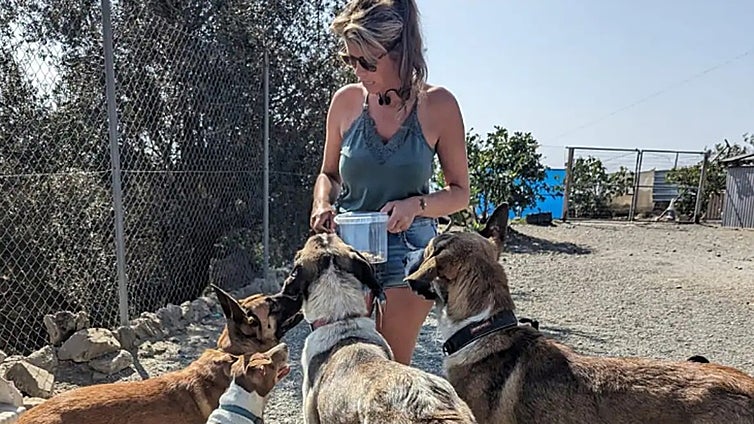 Court orders closure of Costa del Sol animal shelter following complaints from local residents