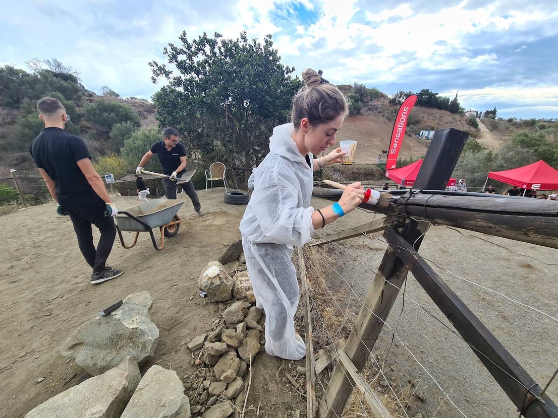 A group of employees from a tech AI company help out at a donkey sanctuary