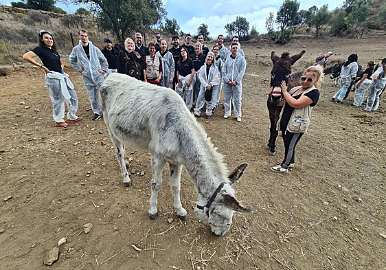 Tech wizards give back by mucking in for a day at Donkey Dreamland on the Costa