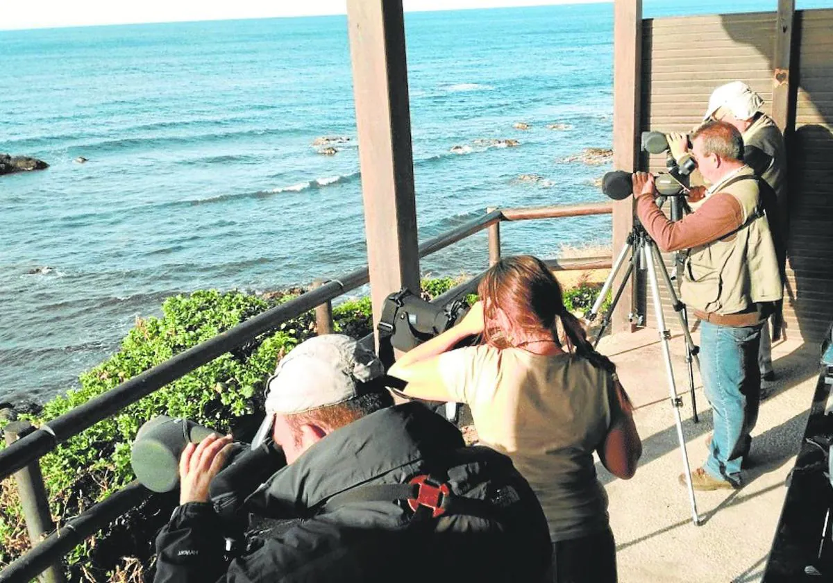 Top spots for birdwatching near the Costa del Sol